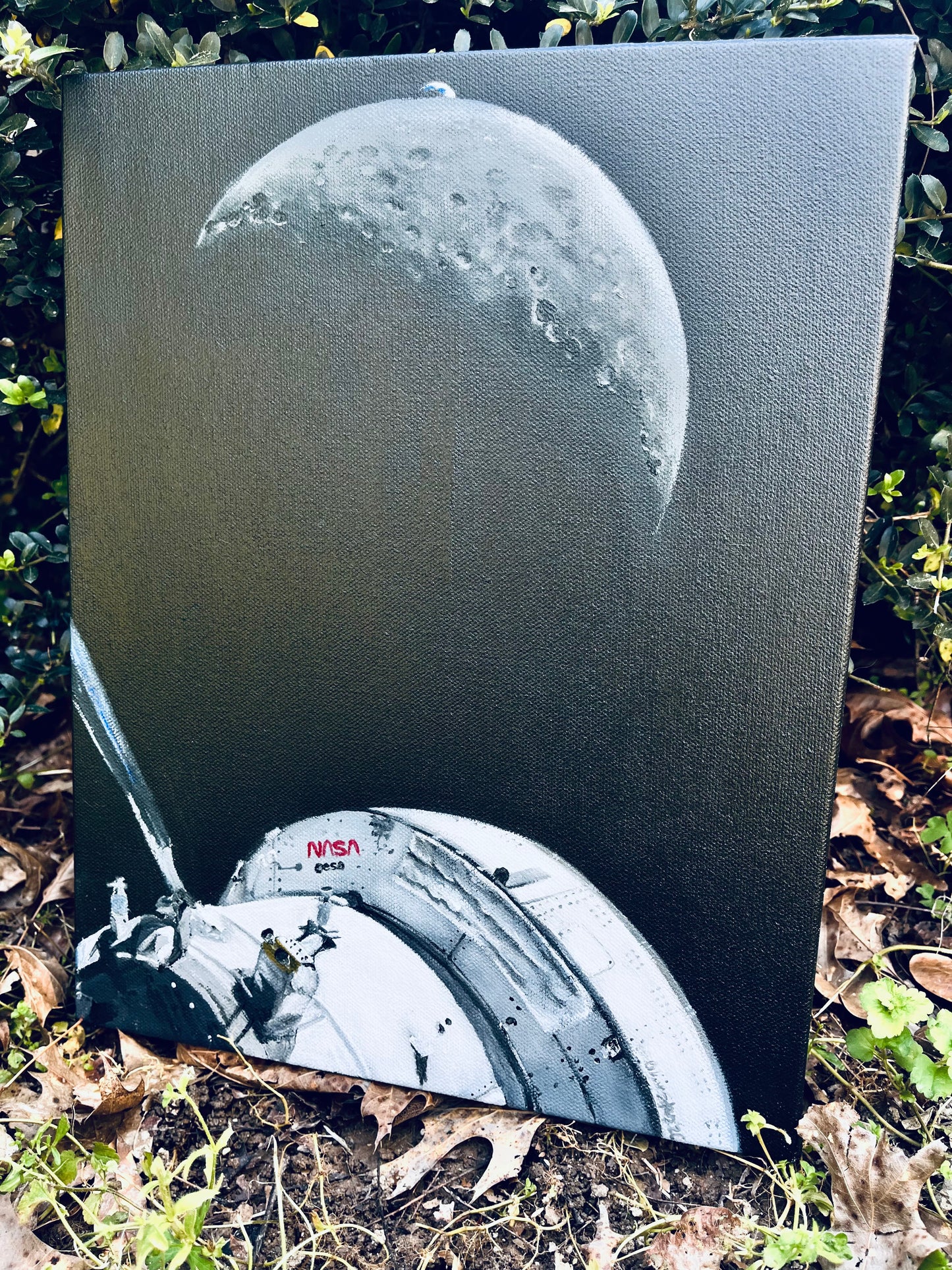 “Moon Joy” Artemis II Integrity Orion 11x14 inches ORIGINAL acrylic