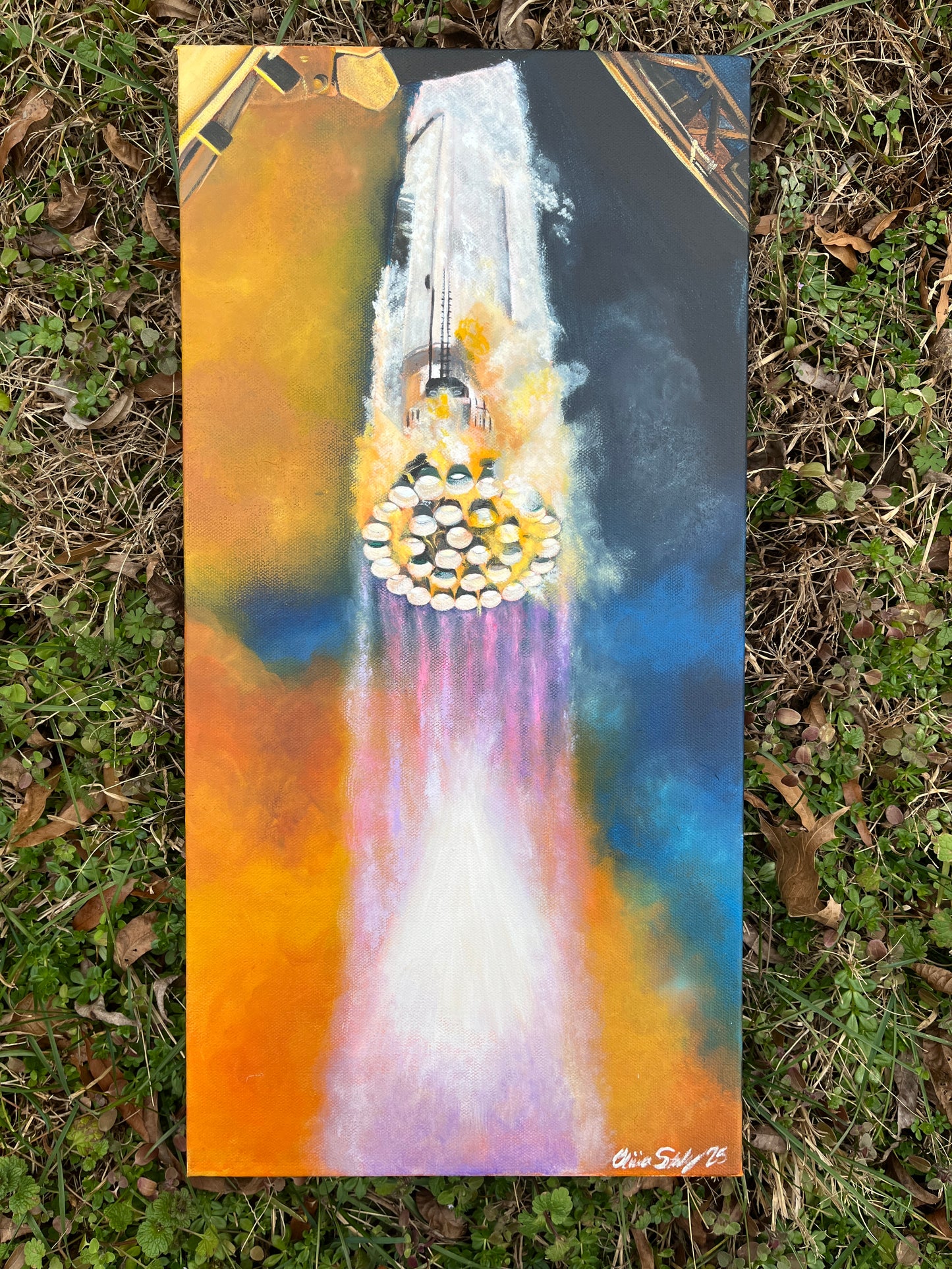 “Waking the Raptors” 10x20 inches