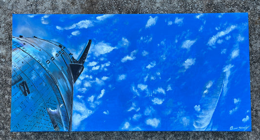 10x20 in “A Long Way to Fall” Starship Flight 6