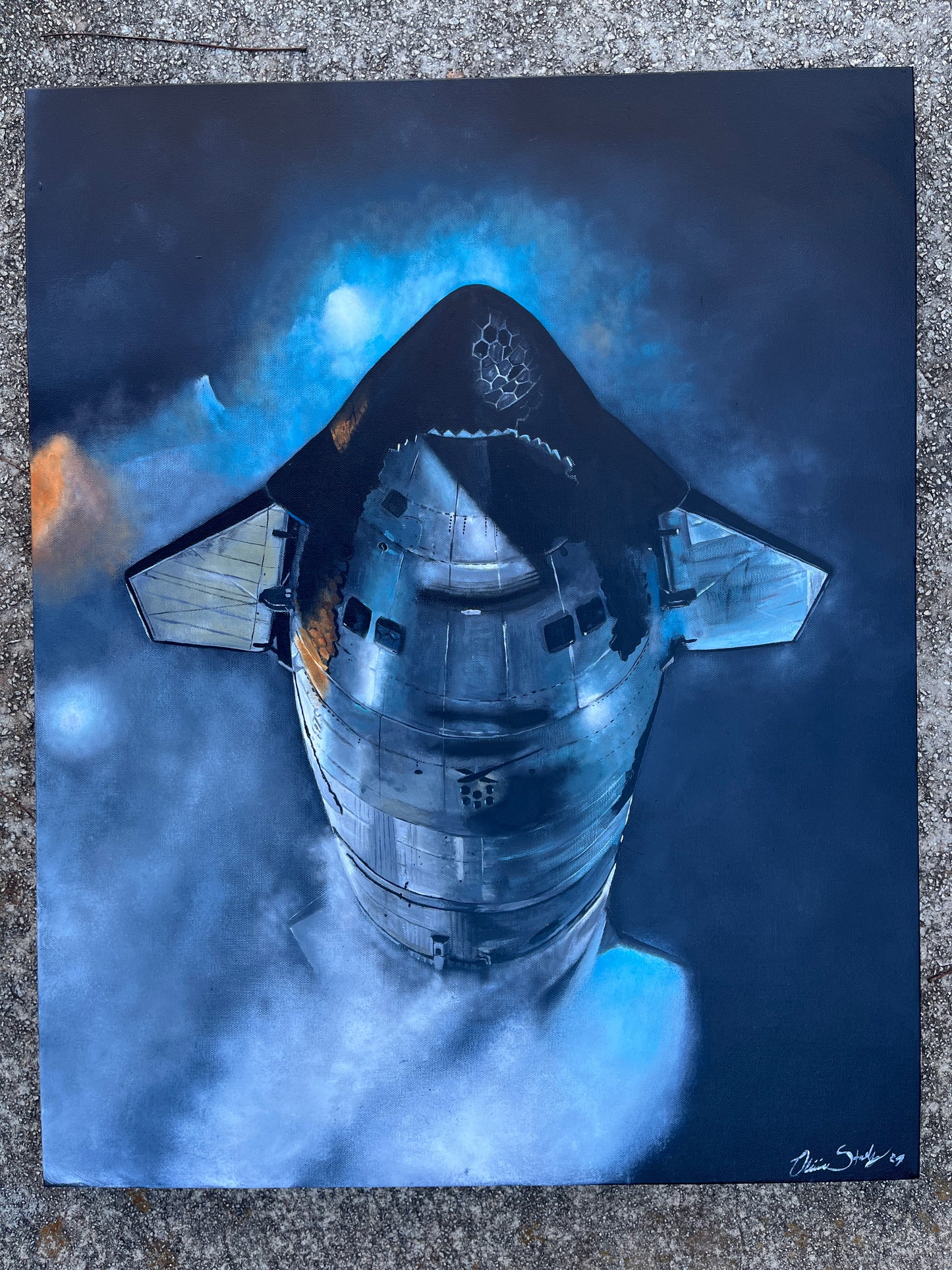 Starship WDR 24x30 in